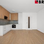 Rent 3 bedroom apartment of 27 m² in Brno