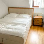 Miete 3 Schlafzimmer wohnung von 100 m² in Frankfurt am Main