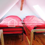 Rent 1 bedroom apartment of 100 m² in Sopot