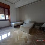 Affitto 5 camera appartamento di 20 m² in Messina