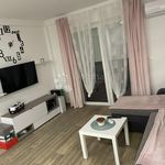 Rent 1 bedroom apartment of 50 m² in Spinčići