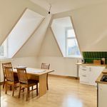 Miete 2 Schlafzimmer wohnung von 75 m² in Dresden