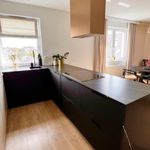 Rent 3 bedroom apartment of 90 m² in Wrocław