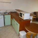 Rent 1 bedroom apartment of 30 m² in Dardilly