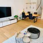 Rent 3 bedroom apartment of 110 m² in Wiesbaden