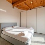 Rent 1 bedroom apartment of 65 m² in San Donato Milanese