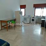 Rent 1 bedroom apartment of 25 m² in Potenza