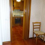 Affitto 3 camera appartamento di 167 m² in Arezzo