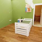 Rent 2 bedroom apartment of 100 m² in Budapest
