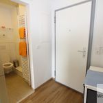 Rent 1 bedroom apartment of 38 m² in Nuremberg