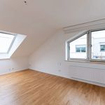 Rent 9 bedroom apartment of 285 m² in Niederkassel