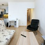 Rent 2 bedroom apartment of 46 m² in Prague