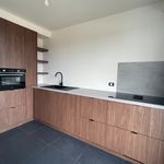 Rent 2 bedroom apartment of 82 m² in Borsbeek