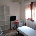 Rent a room of 12 m² in Latina