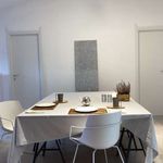 Rent a room of 280 m² in Milano