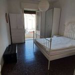 Rent 3 bedroom apartment of 65 m² in Pescara