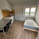Rent 3 bedroom apartment of 10 m² in Grimaud