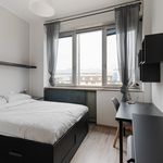 Rent a room of 131 m² in Milano