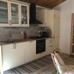 Rent 1 bedroom house of 70 m² in Setubal