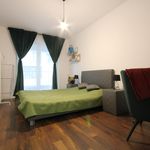 Rent 1 bedroom apartment of 48 m² in Kraków