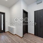 Rent 2 bedroom apartment of 49 m² in Děčín