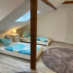 Rent 3 bedroom apartment of 90 m² in Darmstadt