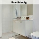 Rent 1 bedroom house of 45 m² in Horsens