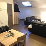 Huur 1 slaapkamer appartement in Morlanwelz