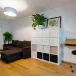 Rent a room of 52 m² in Lyon