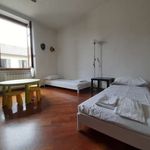 Rent 2 bedroom apartment in Torino