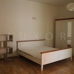 Rent 4 bedroom apartment of 162 m² in City of Zagreb