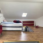 Rent 1 bedroom house in Châtelet