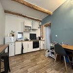 Rent 1 bedroom apartment of 22 m² in Lodève
