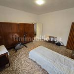 Rent 3 bedroom apartment of 110 m² in Pavia