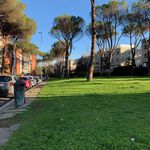 Affitto 5 camera appartamento di 147 m² in Roma