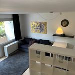 Rent 1 bedroom apartment of 35 m² in Heidelberg