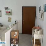 Affitto 4 camera appartamento di 100 m² in Brindisi