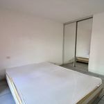  appartement avec 1 chambre(s) en location à Ville-di-Pietrabugno