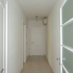 Rent 3 bedroom apartment of 70 m² in Certaldo