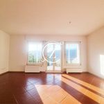 Rent 1 bedroom apartment of 70 m² in Lugano