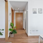 Alquilo 1 dormitorio casa de 39 m² en Madrid