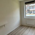 Rent 2 bedroom apartment of 68 m² in Rotterdam