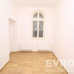Rent 3 bedroom apartment of 90 m² in Plzeň