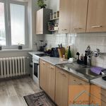Rent 1 bedroom apartment of 45 m² in Konstantinovy Lázně