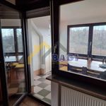 Rent 7 bedroom house of 168 m² in Zagreb