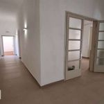 Rent 6 bedroom apartment of 247 m² in Firenze