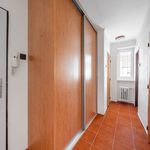 Rent 3 bedroom apartment of 60 m² in Plzeň