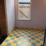 Rent 1 bedroom house of 65 m² in Evere