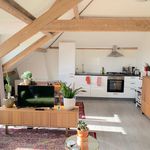 Rent 1 bedroom apartment of 60 m² in Utrecht