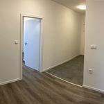 Rent 1 bedroom apartment in Pelhřimov